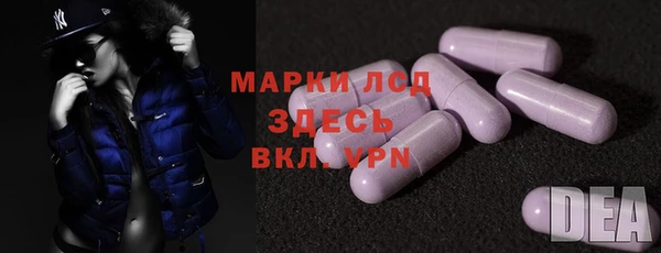 молекула духа Ельня