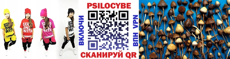 Галлюциногенные грибы Magic Shrooms Пермь